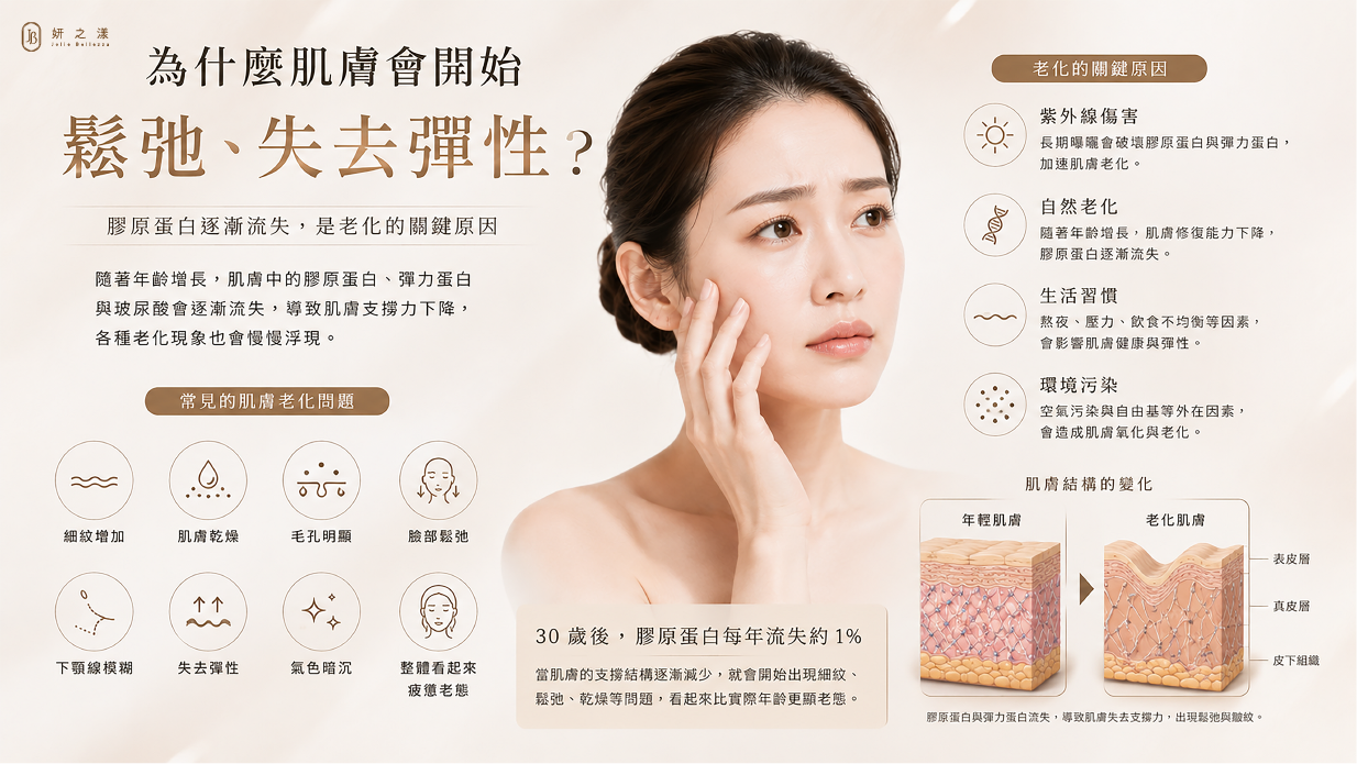 肌膚老化與膠原蛋白流失示意圖,說明肌膚鬆弛、失去彈性、細紋與乾燥形成原因,了解初老肌膚變化。 肌膚老化與膠原蛋白流失示意圖,說明肌膚鬆弛、失去彈性、細紋與乾燥形成原因,了解初老肌膚變化。